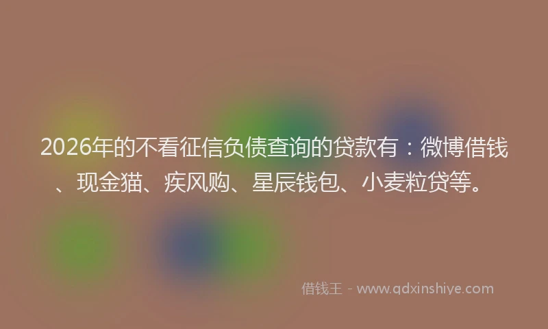 2026年的不看征信负债查询的贷款有：微博借钱、现金猫、疾风购、星辰钱包、小麦粒贷等。