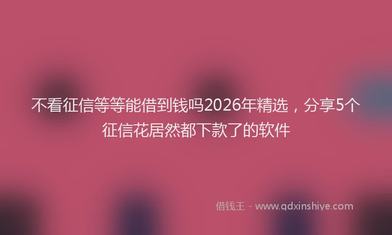 不看征信等等能借到钱吗2026年精选，分享5个征信花居然都下款了的软件