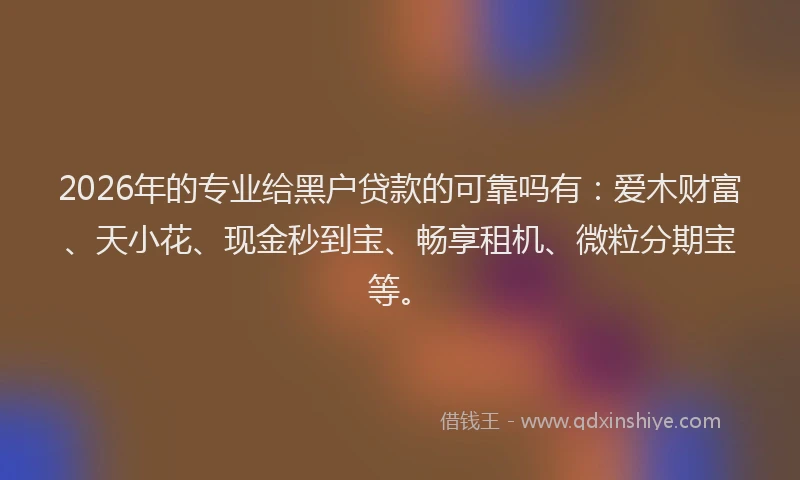 2026年的专业给黑户贷款的可靠吗有:爱木财富、天小花、现金秒到宝、畅享租机、微粒分期宝等。
