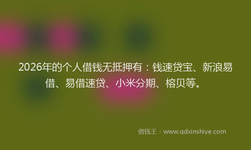 2026年的个人借钱无抵押有:钱速贷宝、新浪易借、易借速贷、小米分期、榕贝等。