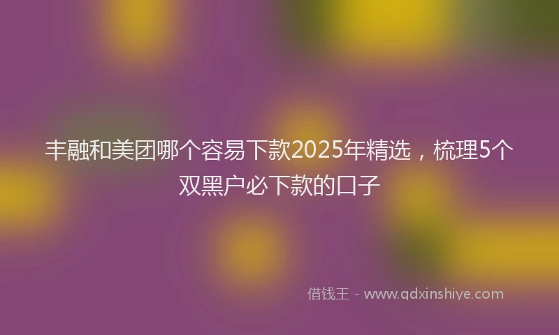 丰融和美团哪个容易下款2025年精选，梳理5个双黑户必下款的口子