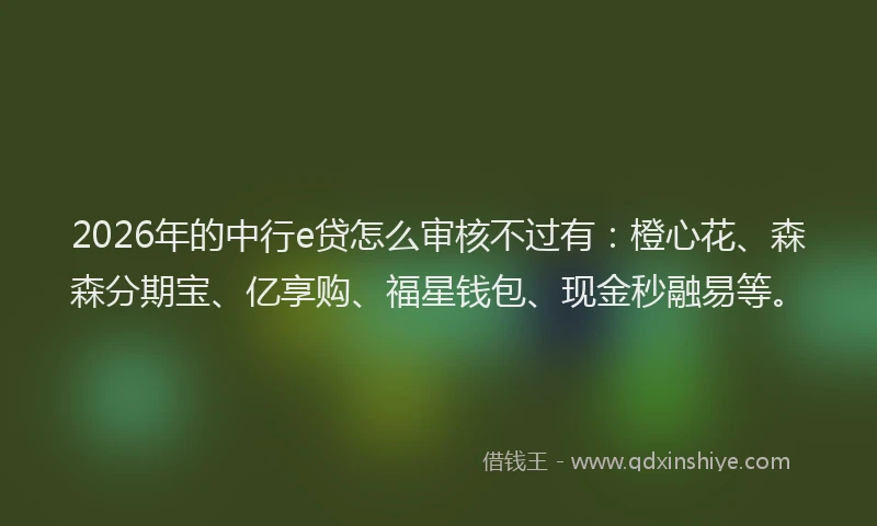 2026年的中行e贷怎么审核不过有：橙心花、森森分期宝、亿享购、福星钱包、现金秒融易等。