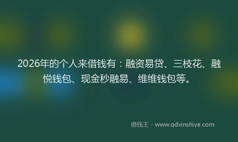 2026年的个人来借钱有:融资易贷、三枝花、融悦钱包、现金秒融易、维维钱包等。