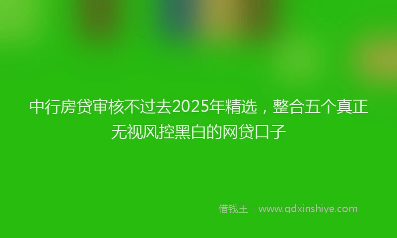 中行房贷审核不过去2025年精选，整合五个真正无视风控黑白的网贷口子