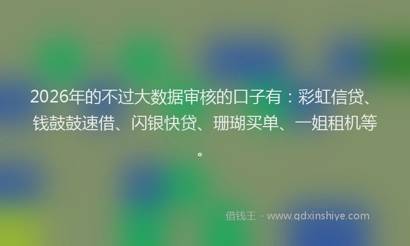 2026年的不过大数据审核的口子有：彩虹信贷、钱鼓鼓速借、闪银快贷、珊瑚买单、一姐租机等。