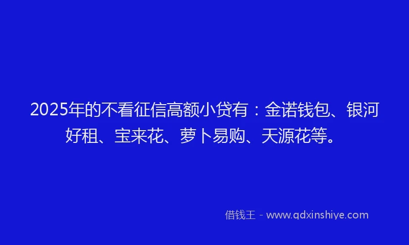 2025年的不看征信高额小贷有：金诺钱包、银河好租、宝来花、萝卜易购、天源花等。