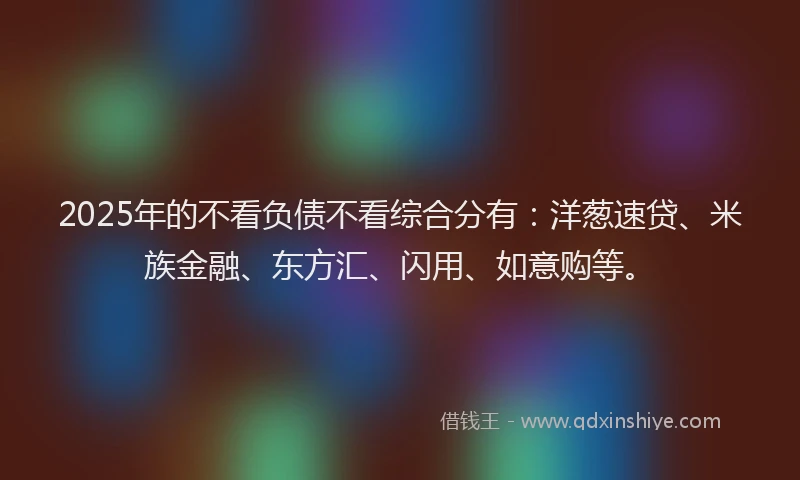 2025年的不看负债不看综合分有：洋葱速贷、米族金融、东方汇、闪用、如意购等。
