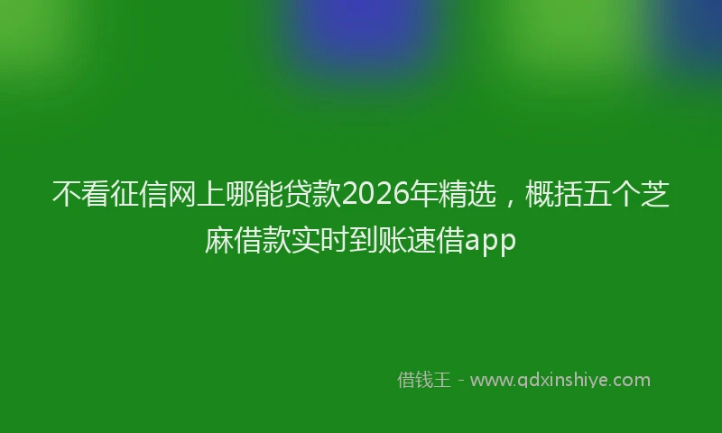 不看征信网上哪能贷款2026年精选,概括五个芝麻借款实时到账速借app