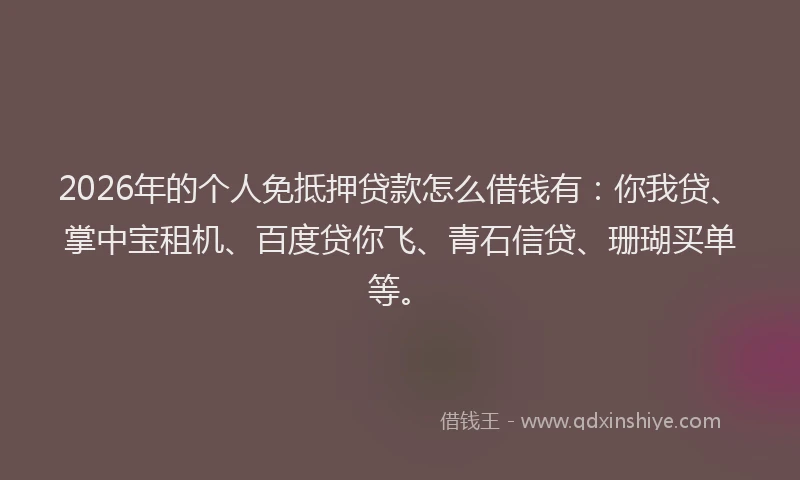 2026年的个人免抵押贷款怎么借钱有：你我贷、掌中宝租机、百度贷你飞、青石信贷、珊瑚买单等。