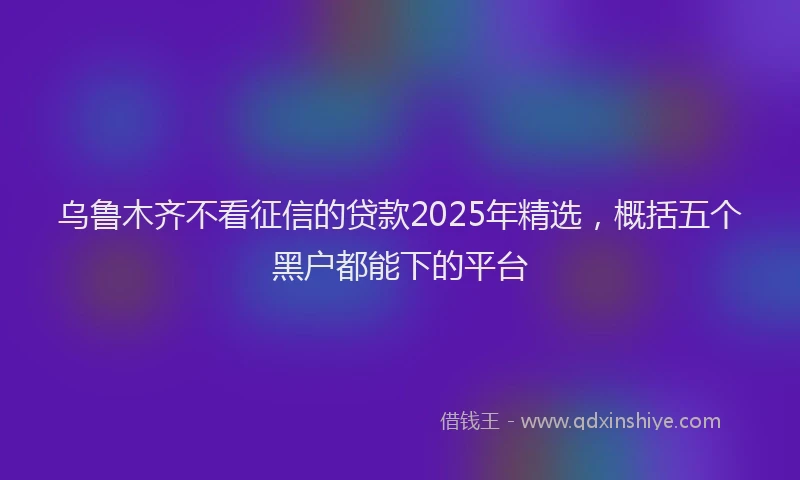 乌鲁木齐不看征信的贷款2025年精选，概括五个黑户都能下的平台