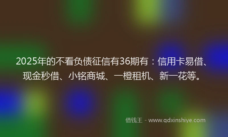 2025年的不看负债征信有36期有：信用卡易借、现金秒借、小铭商城、一橙租机、新一花等。
