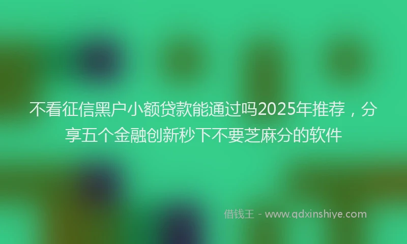 不看征信黑户小额贷款能通过吗2025年推荐，分享五个金融创新秒下不要芝麻分的软件