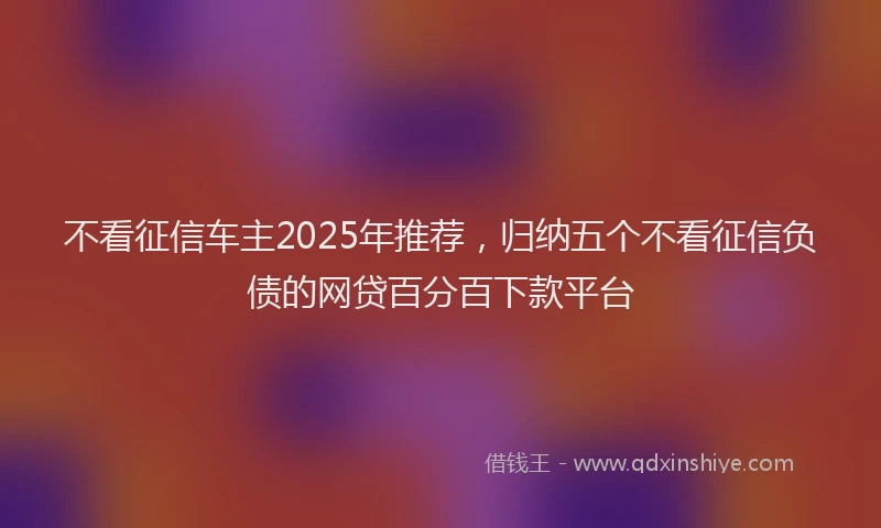 不看征信车主2025年推荐，归纳五个不看征信负债的网贷百分百下款平台