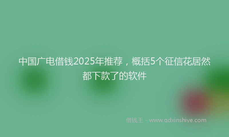 中国广电借钱2025年推荐，概括5个征信花居然都下款了的软件