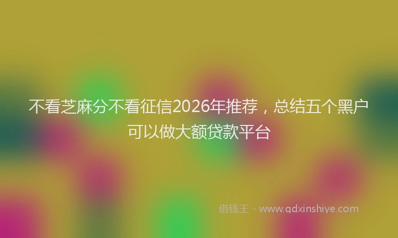 不看芝麻分不看征信2026年推荐，总结五个黑户可以做大额贷款平台