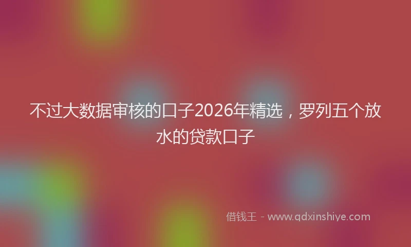 不过大数据审核的口子2026年精选，罗列五个放水的贷款口子