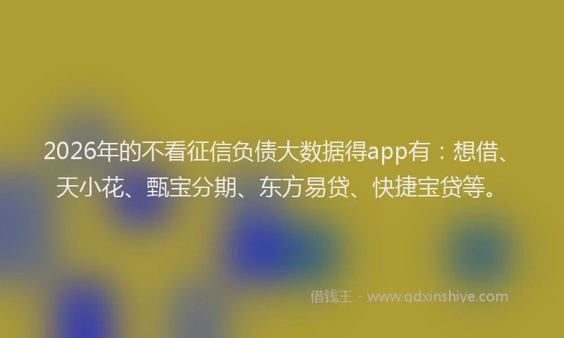2026年的不看征信负债大数据得app有：想借、天小花、甄宝分期、东方易贷、快捷宝贷等。