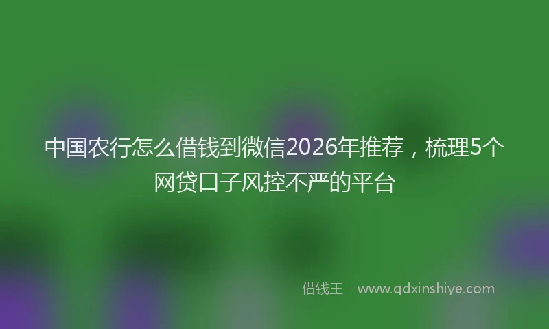 中国农行怎么借钱到微信2026年推荐，梳理5个网贷口子风控不严的平台