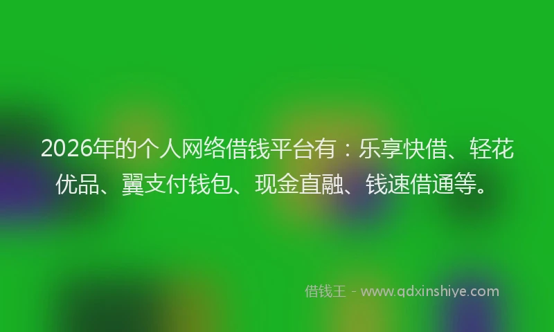 2026年的个人网络借钱平台有：乐享快借、轻花优品、翼支付钱包、现金直融、钱速借通等。