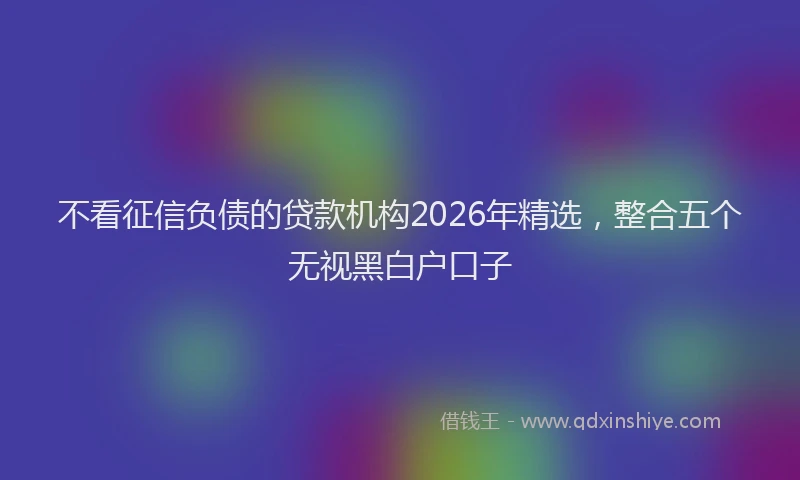 不看征信负债的贷款机构2026年精选，整合五个无视黑白户口子