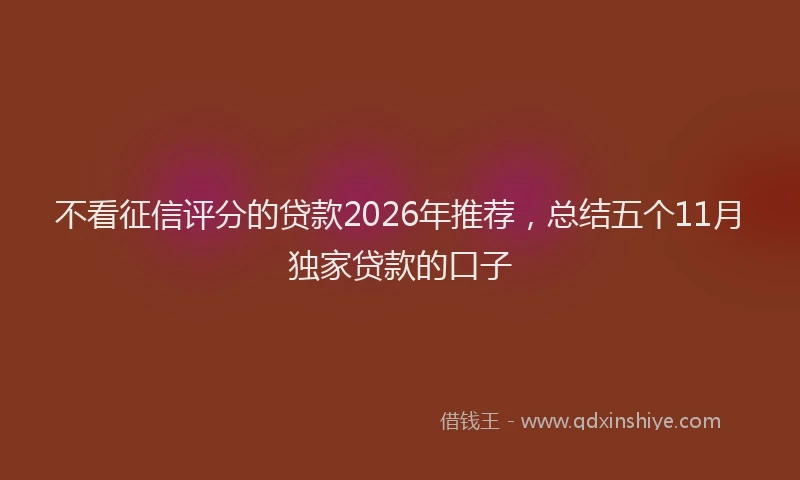 不看征信评分的贷款2026年推荐,总结五个11月独家贷款的口子