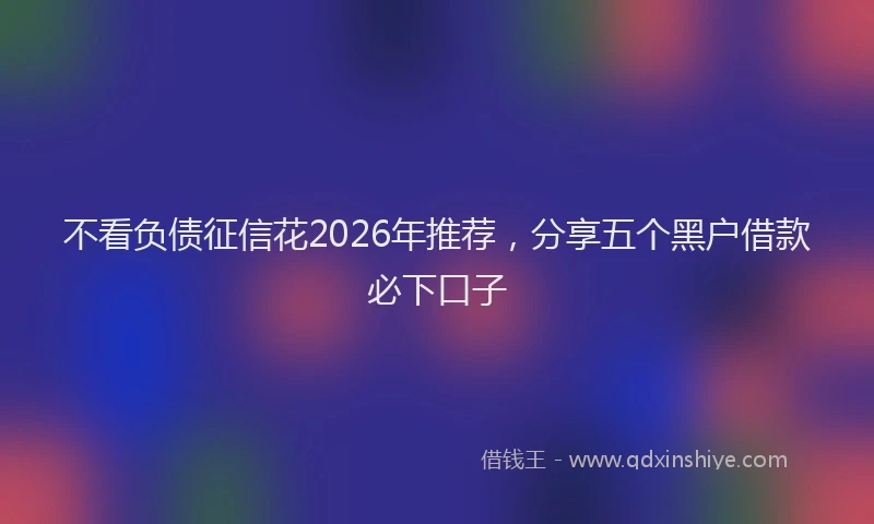 不看负债征信花2026年推荐，分享五个黑户借款必下口子