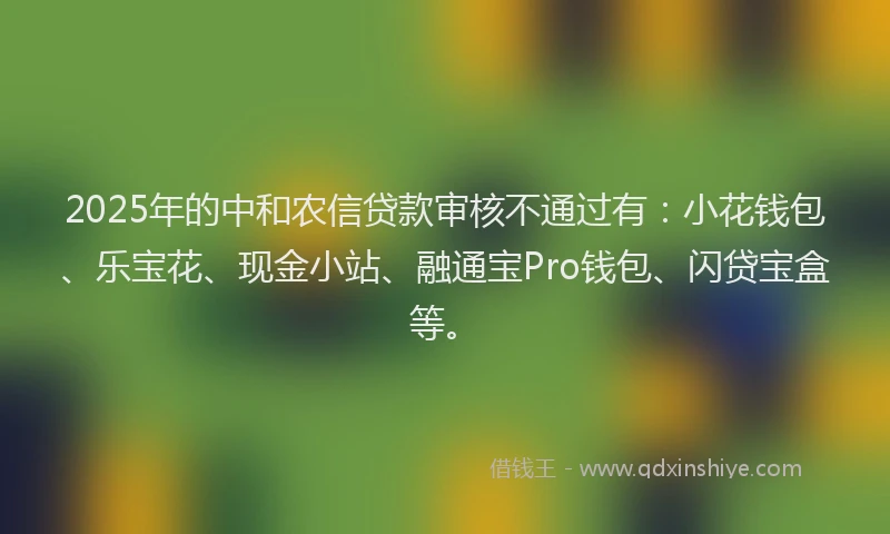 2025年的中和农信贷款审核不通过有：小花钱包、乐宝花、现金小站、融通宝Pro钱包、闪贷宝盒等。