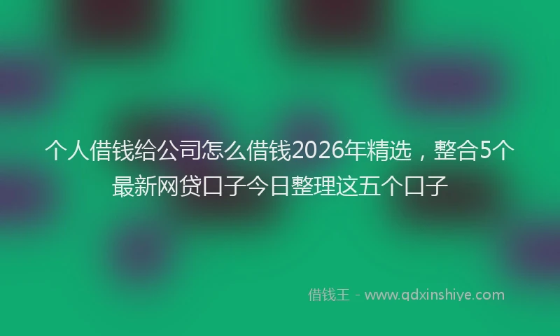 个人借钱给公司怎么借钱2026年精选，整合5个最新网贷口子今日整理这五个口子