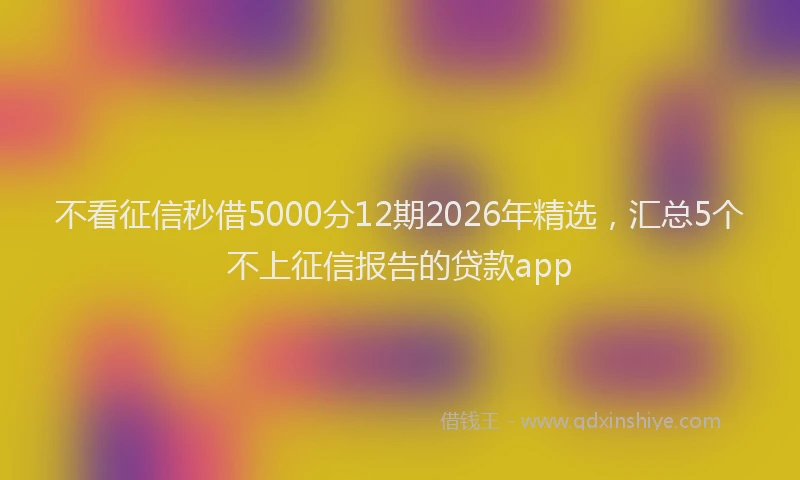 不看征信秒借5000分12期2026年精选，汇总5个不上征信报告的贷款app