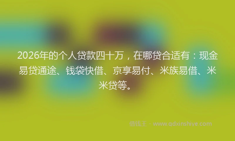 2026年的个人贷款四十万,在哪贷合适有:现金易贷通途、钱袋快借、京享易付、米族易借、米米贷等。