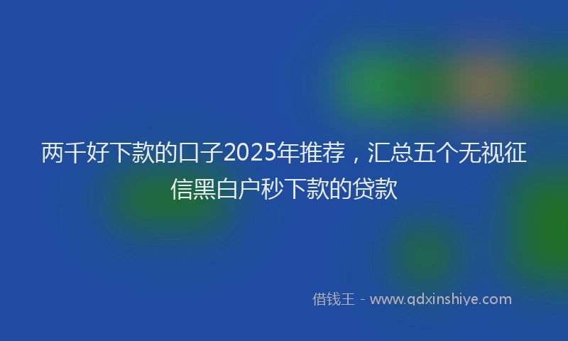 两千好下款的口子2025年推荐,汇总五个无视征信黑白户秒下款的贷款