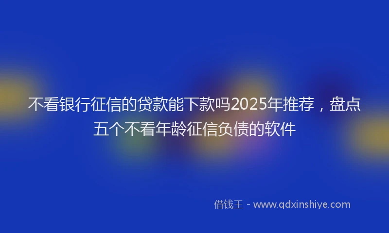 不看银行征信的贷款能下款吗2025年推荐，盘点五个不看年龄征信负债的软件