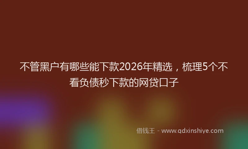 不管黑户有哪些能下款2026年精选，梳理5个不看负债秒下款的网贷口子
