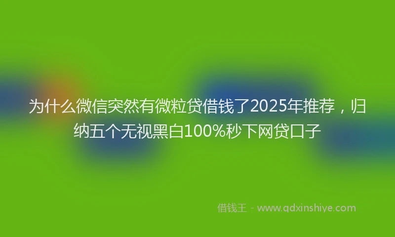 为什么微信突然有微粒贷借钱了2025年推荐，归纳五个无视黑白100%秒下网贷口子