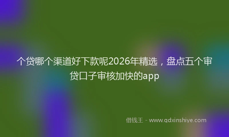 个贷哪个渠道好下款呢2026年精选，盘点五个审贷口子审核加快的app