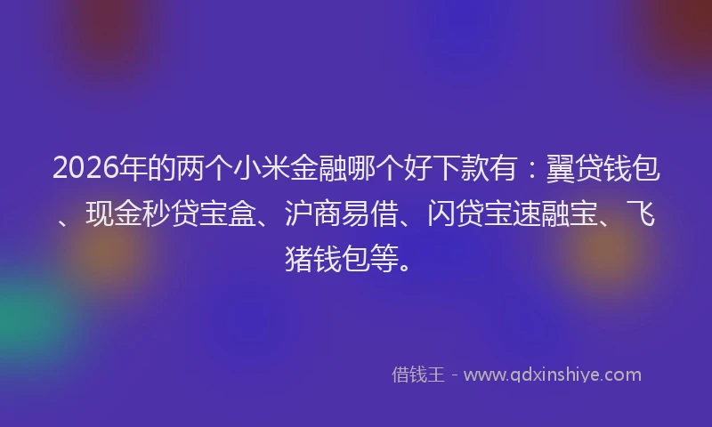 2026年的两个小米金融哪个好下款有：翼贷钱包、现金秒贷宝盒、沪商易借、闪贷宝速融宝、飞猪钱包等。