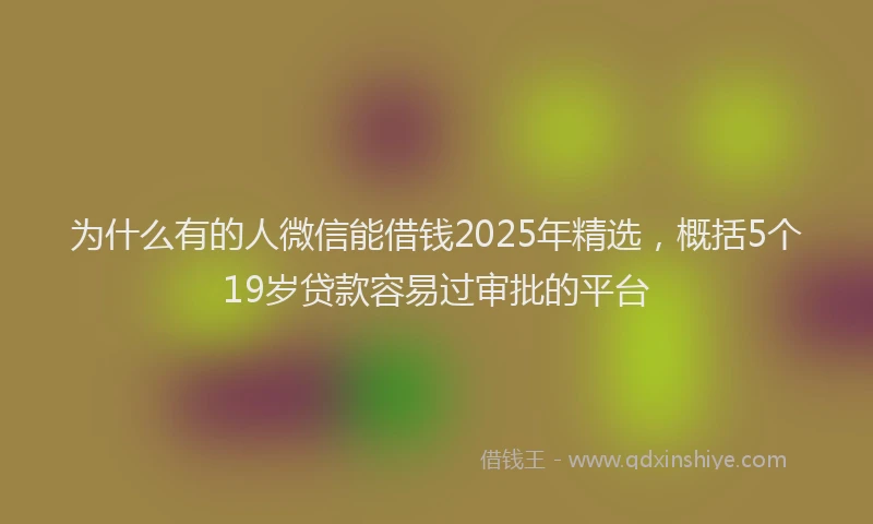 为什么有的人微信能借钱2025年精选，概括5个19岁贷款容易过审批的平台