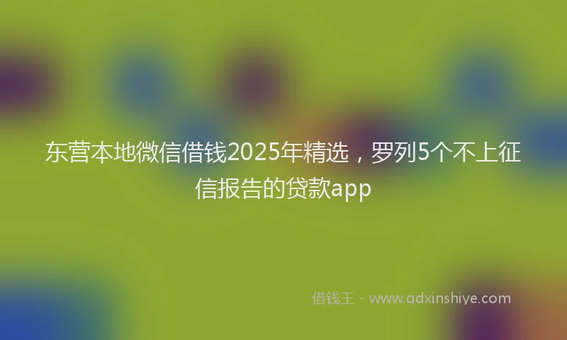 东营本地微信借钱2025年精选，罗列5个不上征信报告的贷款app