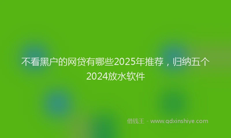不看黑户的网贷有哪些2025年推荐，归纳五个2024放水软件