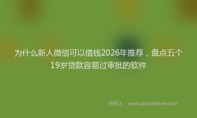 为什么新人微信可以借钱2026年推荐,盘点五个19岁贷款容易过审批的软件