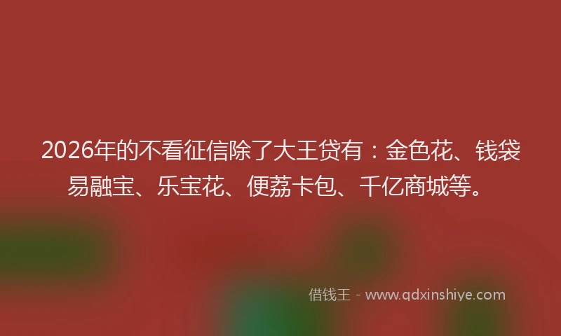 2026年的不看征信除了大王贷有：金色花、钱袋易融宝、乐宝花、便荔卡包、千亿商城等。