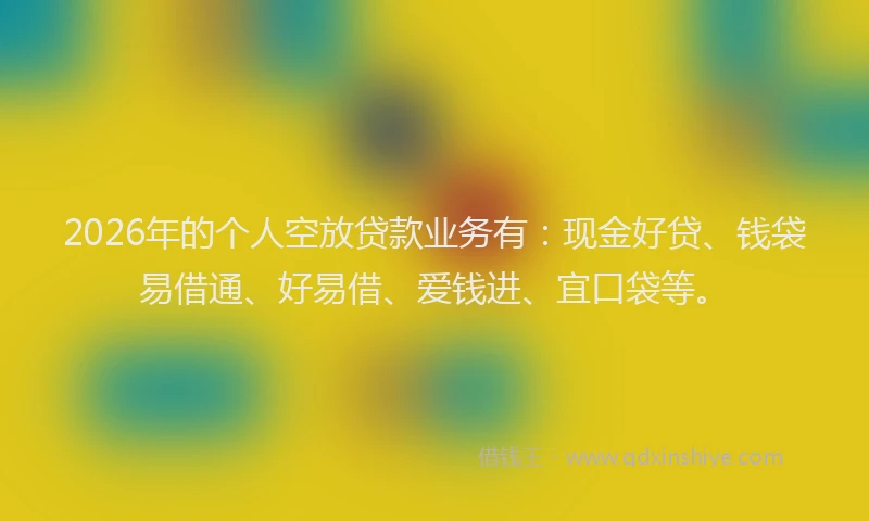 2026年的个人空放贷款业务有:现金好贷、钱袋易借通、好易借、爱钱进、宜口袋等。