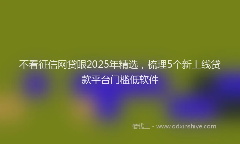 不看征信网贷眼2025年精选，梳理5个新上线贷款平台门槛低软件