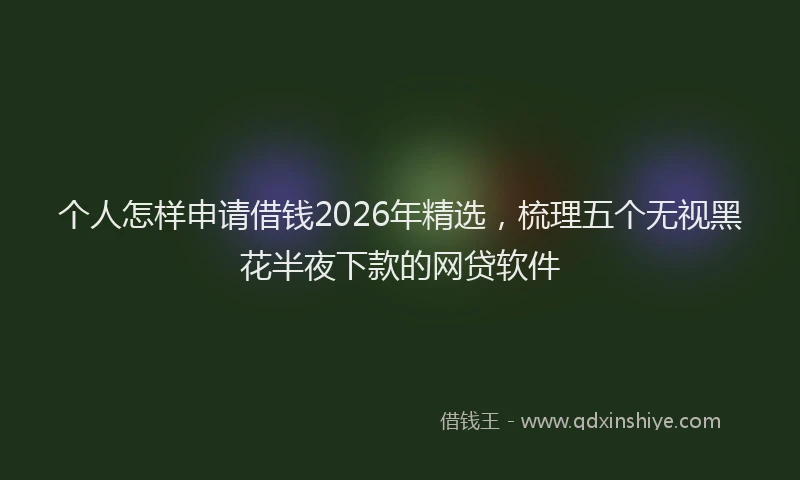 个人怎样申请借钱2026年精选，梳理五个无视黑花半夜下款的网贷软件