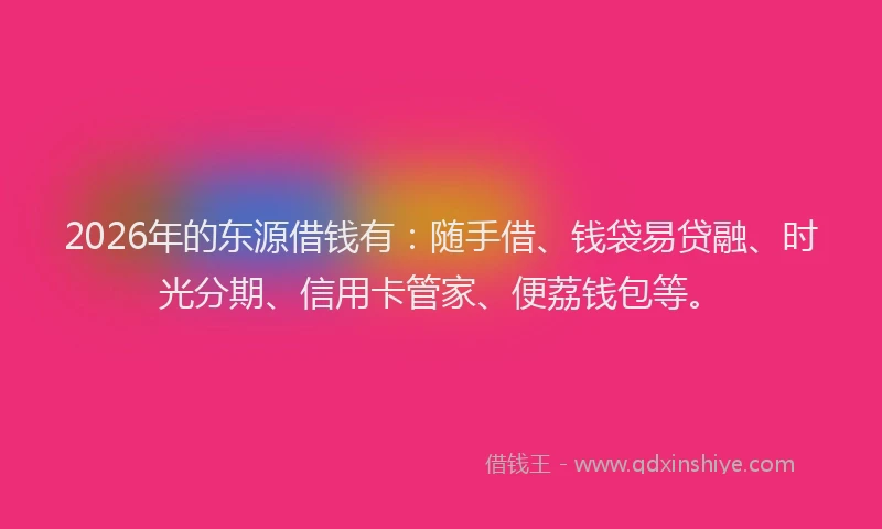 2026年的东源借钱有：随手借、钱袋易贷融、时光分期、信用卡管家、便荔钱包等。