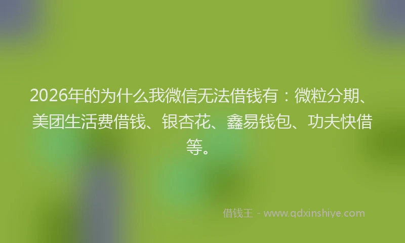 2026年的为什么我微信无法借钱有：微粒分期、美团生活费借钱、银杏花、鑫易钱包、功夫快借等。