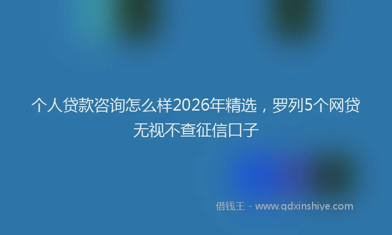 个人贷款咨询怎么样2026年精选，罗列5个网贷无视不查征信口子