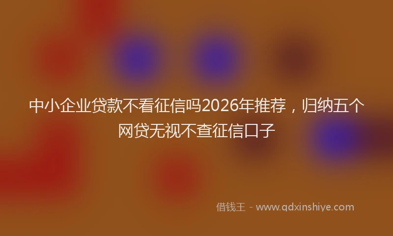 中小企业贷款不看征信吗2026年推荐，归纳五个网贷无视不查征信口子