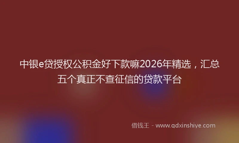 中银e贷授权公积金好下款嘛2026年精选，汇总五个真正不查征信的贷款平台