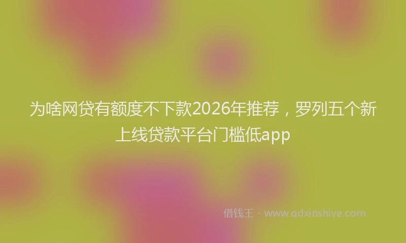 为啥网贷有额度不下款2026年推荐,罗列五个新上线贷款平台门槛低app